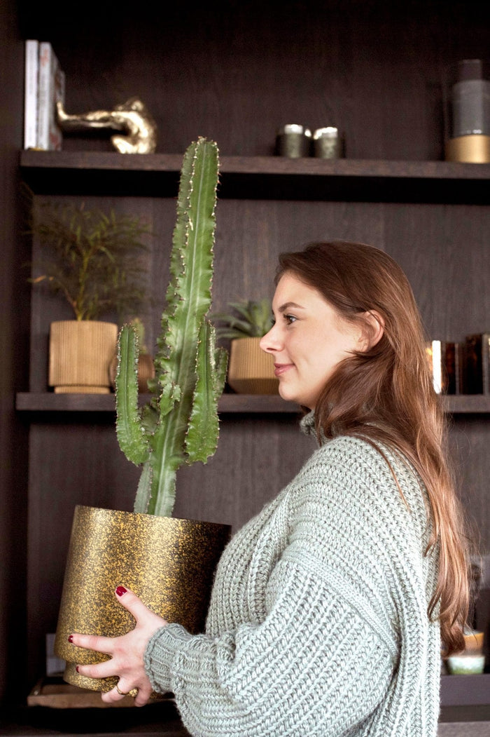 eb292cc2-037c-4ab0-a330-5c8662385001-afbeelding3.jpg (7904781)