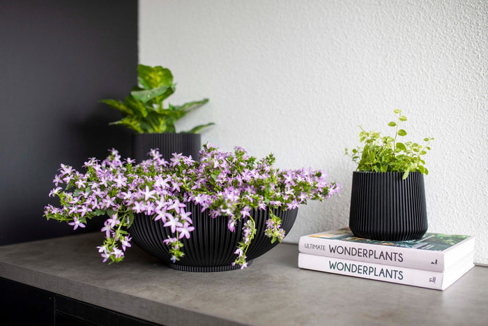 def96863-20da-4763-851c-acad61cf710c-afbeelding5.jpg (7904819)