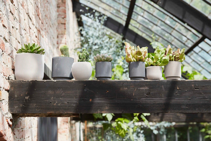 f42af066-d1b2-4108-a9bf-e499261511ec-sfeerbeeld.jpg (7904856)