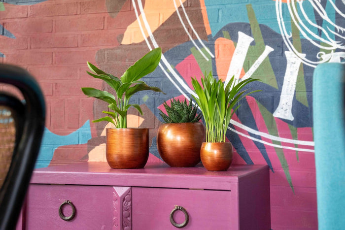 1edb4241-4ba7-41e6-8555-05ccd532586d-sfeerbeeld.jpg (7904977)