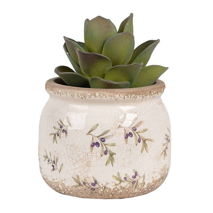 c873ed4d-439a-40ef-86c8-73e8bd7f0b47-afbeelding10.jpg (7905575)