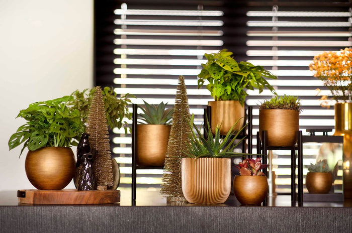 1a4dab83-88c8-4014-a567-23f08a5f6c21-afbeelding3.jpg (7907110)