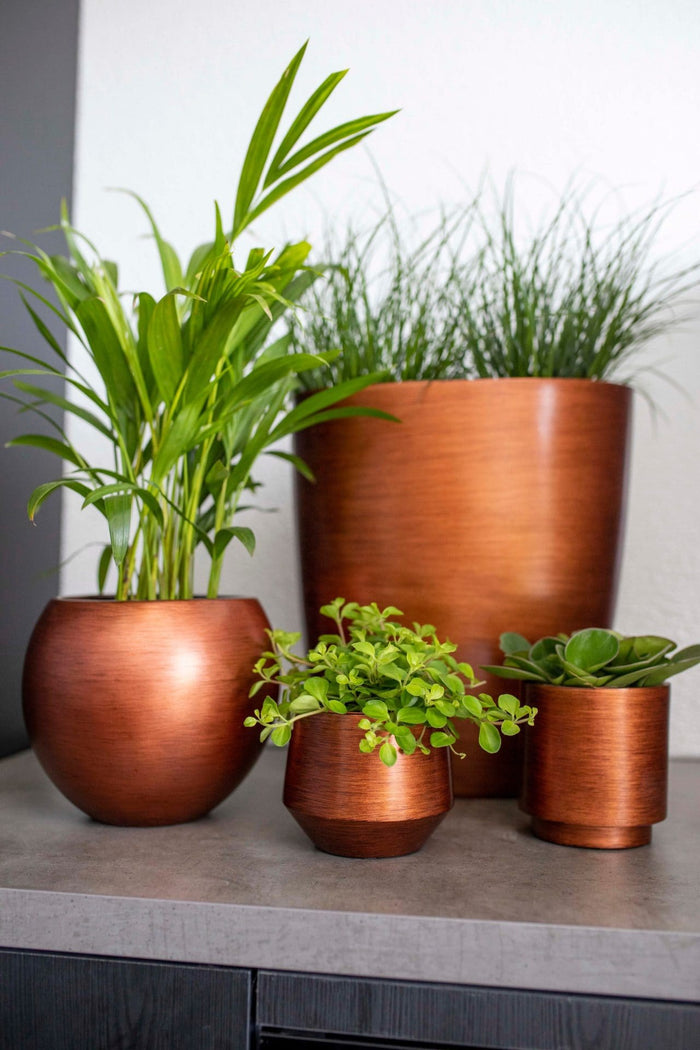 1a4dab83-88c8-4014-a567-23f08a5f6c21-afbeelding4.jpg (7907111)