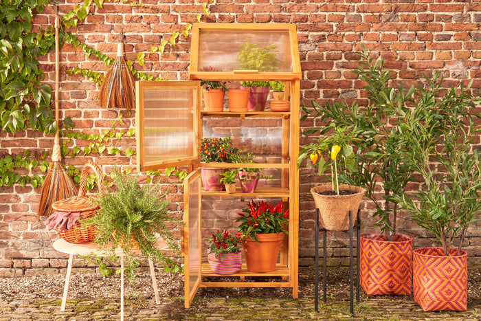 Mica Decorations Caminia Kweekkas L - L60 x B42 x H152 cm- Mahoniehout