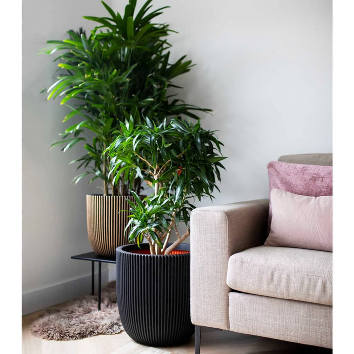 526788e6-9cf4-489a-93c5-e8cc1cdd6ada-afbeelding9.jpg (7960586)