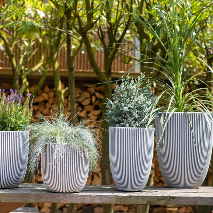 Capi Europe - Vaas elegant laag Groove NL - 34x46 - Goud