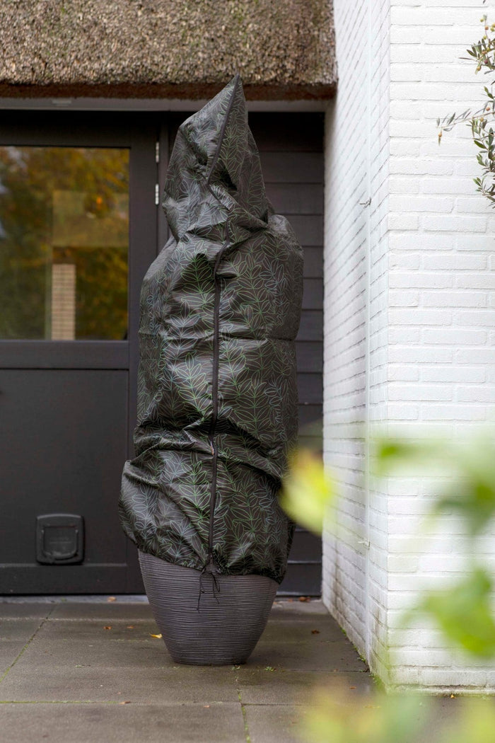 151a347d-628f-4699-a9da-1b975a78626f-afbeelding4.jpg (7960839)