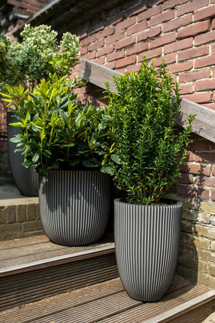 Capi Europe - Vaas elegant laag Groove NL - 34x46 - Zwart