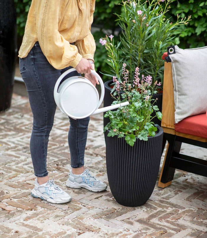 447379ab-3765-437b-b3a1-d92b8c9b3f3c-afbeelding6.jpg (7960849)