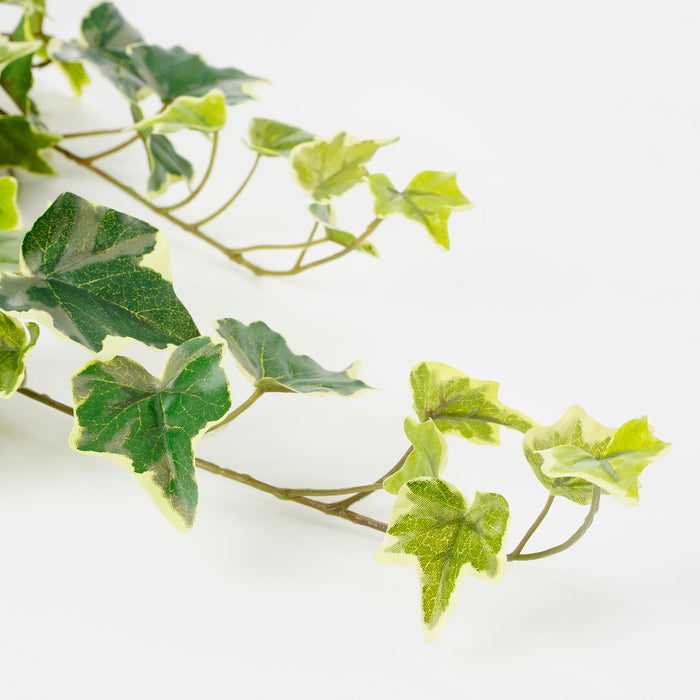 Mica Decorations Hedera hangend groen bont - l71xb20xh15cm