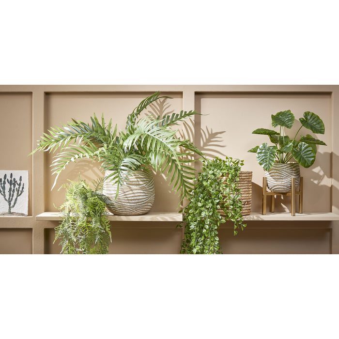 Mica Decorations Ficus Kunst Hangplant - H81 cm - Groen