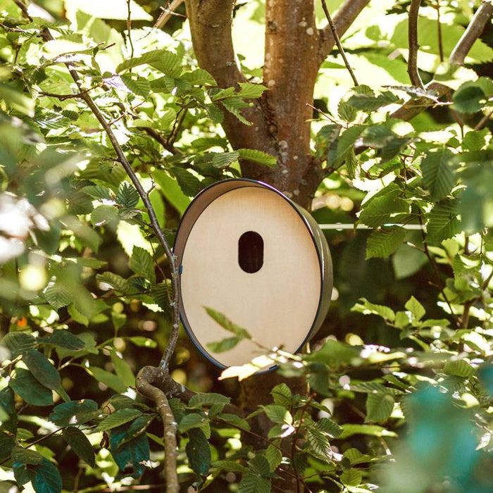 Capi Europe Vogelhuisje