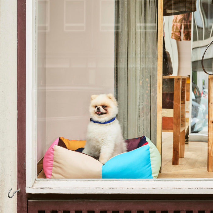 HAY Dogs Hondenbed Small - Multi