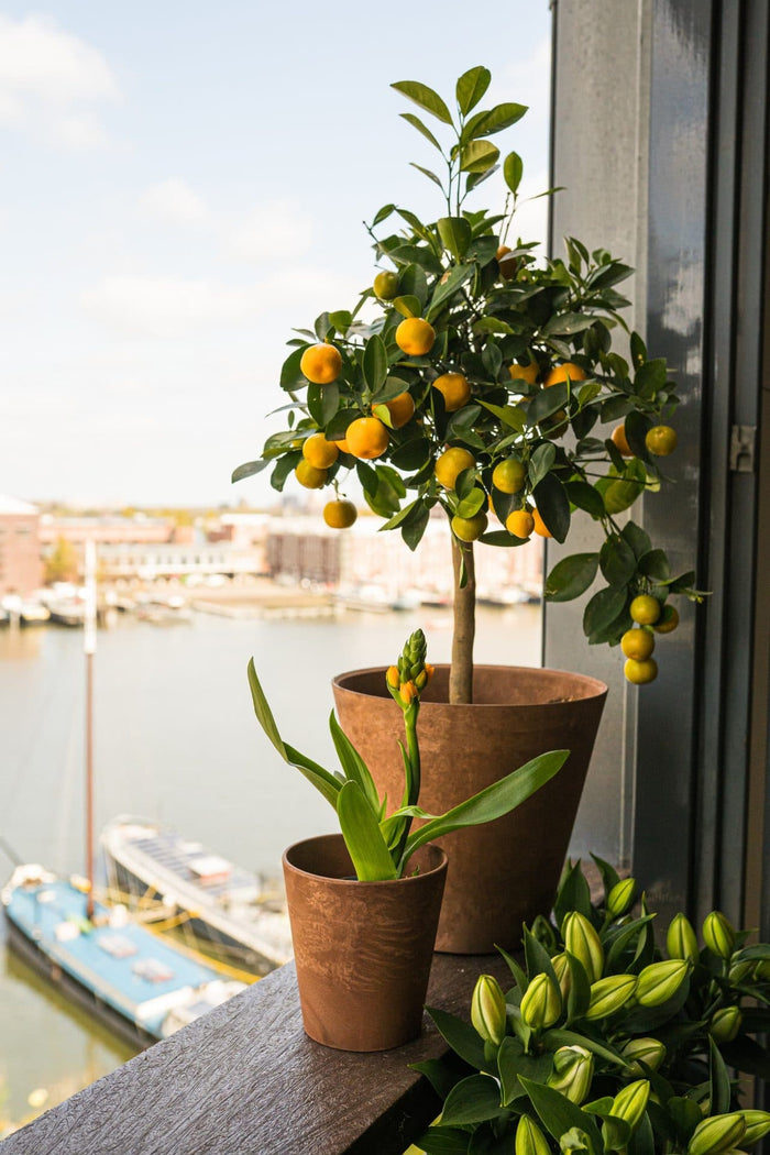 Artstone Bloempot Claire - 32x29 - Grijs