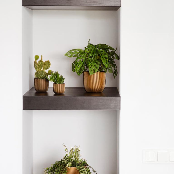 Capi Europe Gold & Silver Mix Bloempot Mix - Set van 4 - Goud