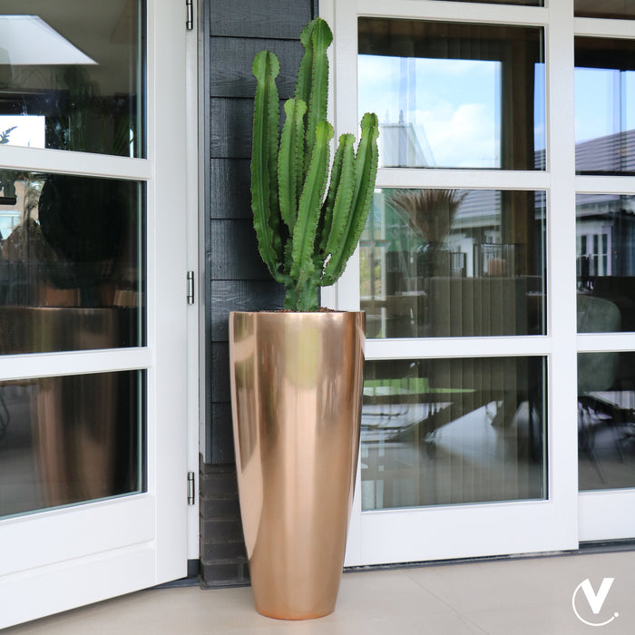 46b6c149-227c-4f71-b158-81b30c5d70d6-sfeerbeeld.jpg (8063554)