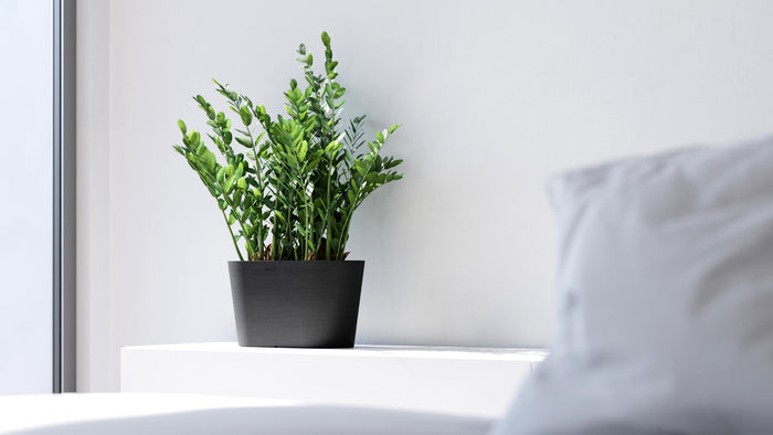 Ecopots Tokyo 30 Dark Grey