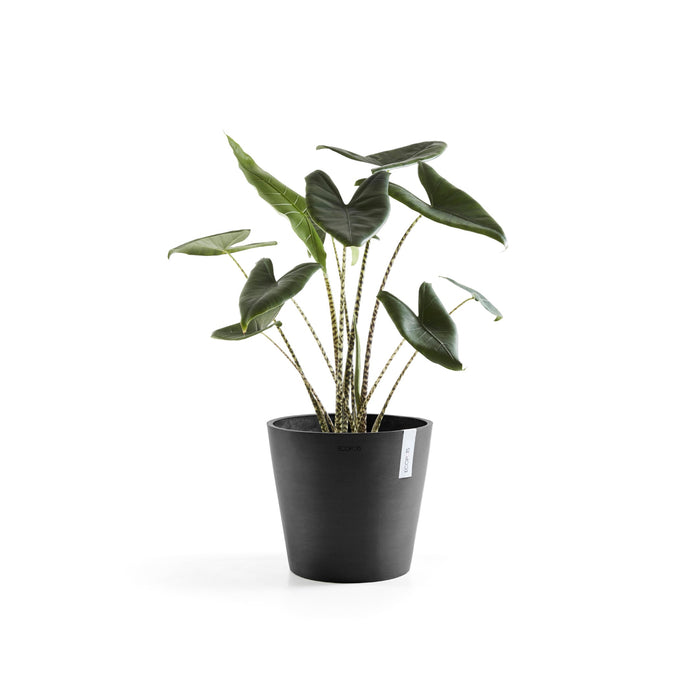 Ecopots Amsterdam 40 Dark Grey