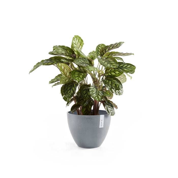 Ecopots Antwerp 50 Blue Grey