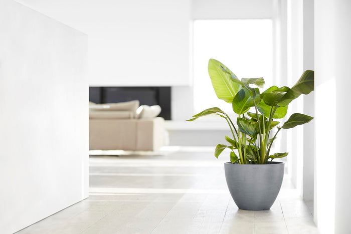 Ecopots Antwerp 40 Blue Grey