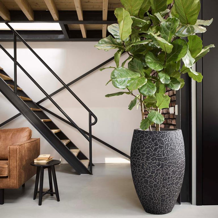 Capi Europe Nature Clay Vaas Deluxe 72 cm