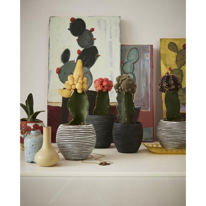 33c12dcc-145c-409d-9784-2f1e441debc0-sfeerbeeld.jpg (8123032)