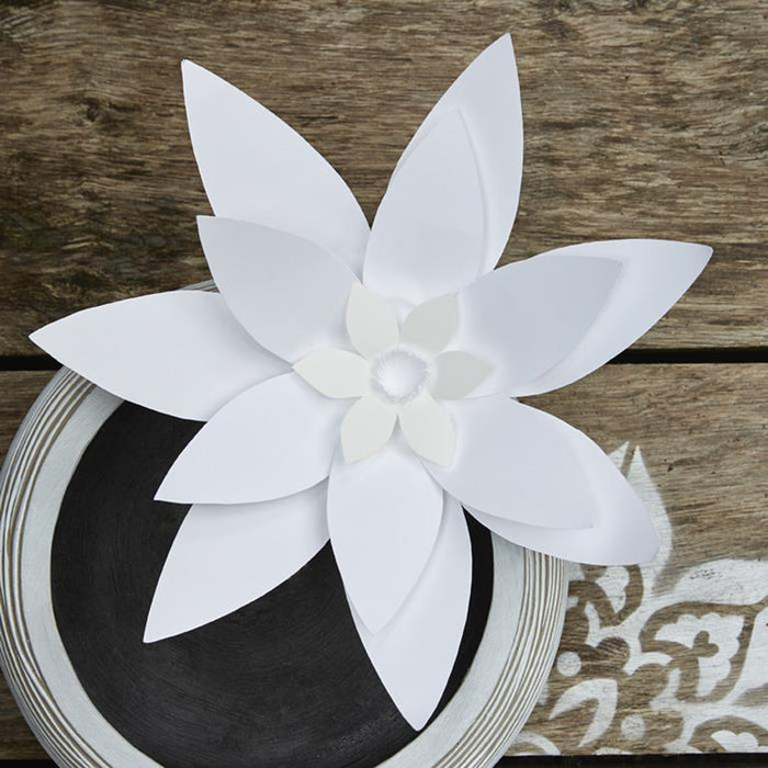 98ada4a5-6ddb-4724-a757-4aea4cbcf600-afbeelding3.jpg (8123047)