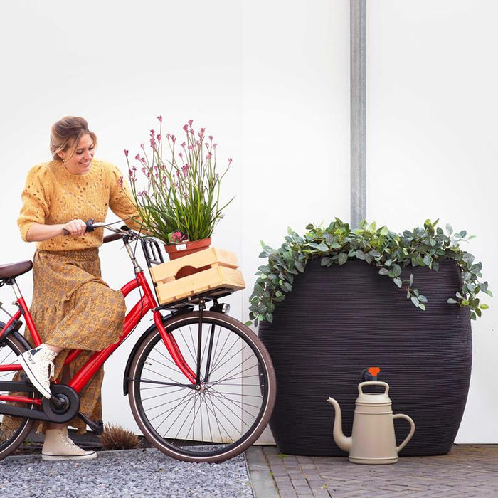 Capi Europe Rainwater Solutions Regenton Rib 250 L - Zwart