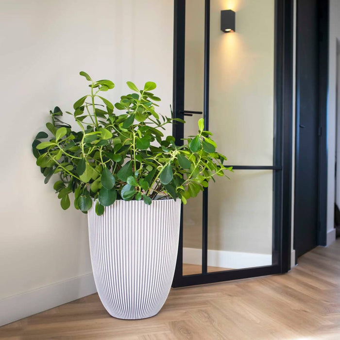 33683713-8dd3-4efe-9f4b-5400f54109e8-sfeerbeeld.jpg (8137173)