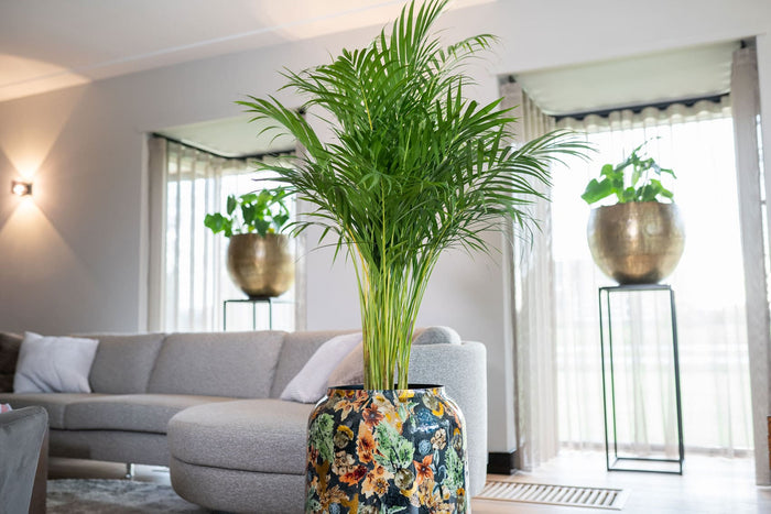 e5756b1a-8015-4971-b2bf-e1930d6fd509-afbeelding5.jpg (8139386)