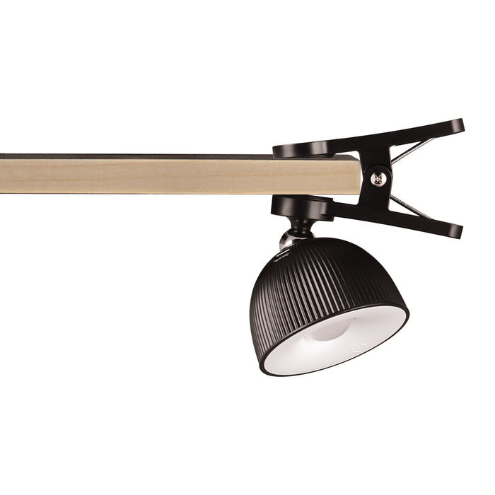 323413-x07-202404260622-A.jpg (8177328)