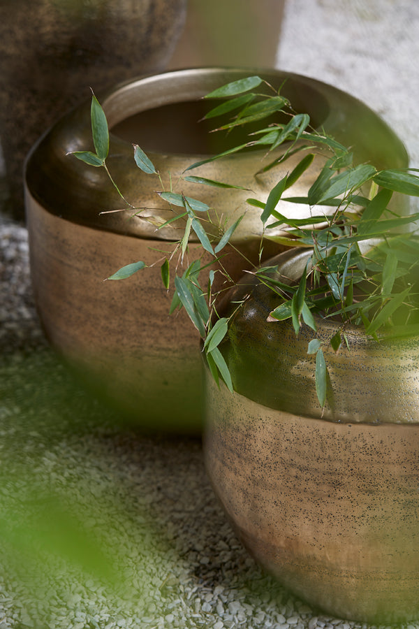 6e052434-baf4-493b-af7f-b785d3d3a8a0-afbeelding6.jpg (8221710)