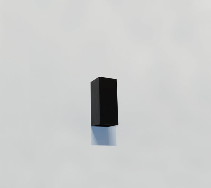 Artdelight Wandlamp Dante 2 Zwart GU10