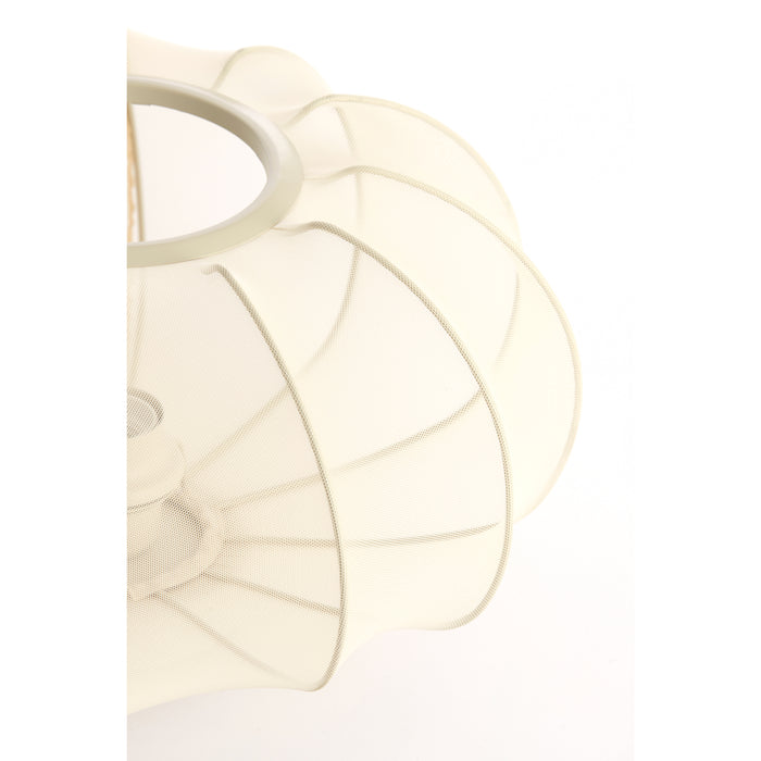 11afa198-c25b-4ed5-81a6-a395d74f4efe-afbeelding6.jpg (8281247)