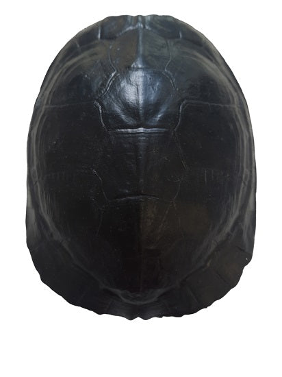 FURNILUX - Katana small Zwart - Schildpad