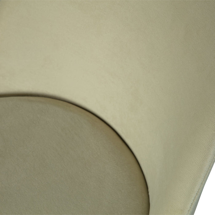 WOOOD Vogue Eetkamerstoelen - Fluweel - Pistache - Set van 2