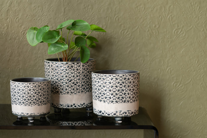 7a607d7d-dda9-445b-8891-34236a328011-afbeelding4.jpg (8347756)