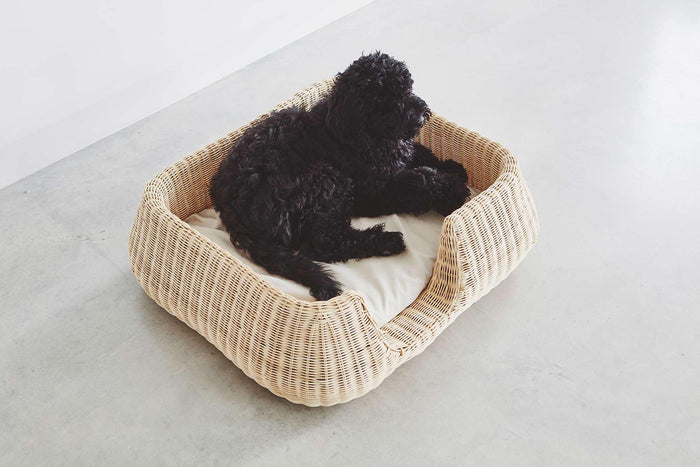 568cde60-72ec-4f79-b8dc-a610b57560ba-afbeelding3.jpg (8362748)