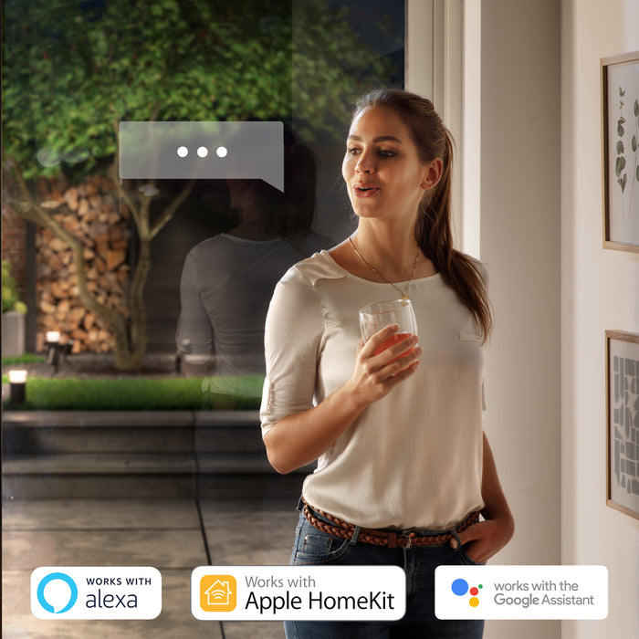 Philips Hue Lily Tuinspot Starterspakket met Hue Bridge
