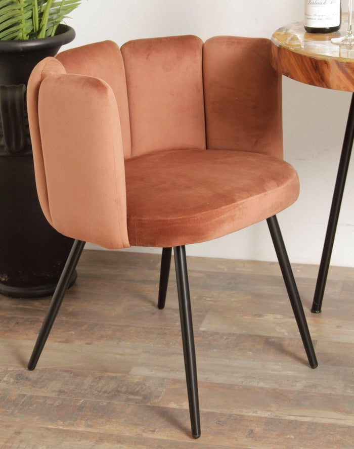 83b00f88-8b30-45d2-82a5-fc1a0f0041b6-afbeelding10.jpg (8643701)