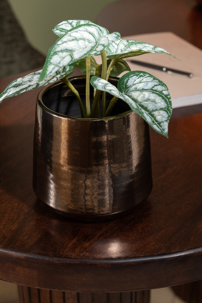 J-Line plant Anthurium|Olifantsoor In Pot - kunststof - groe