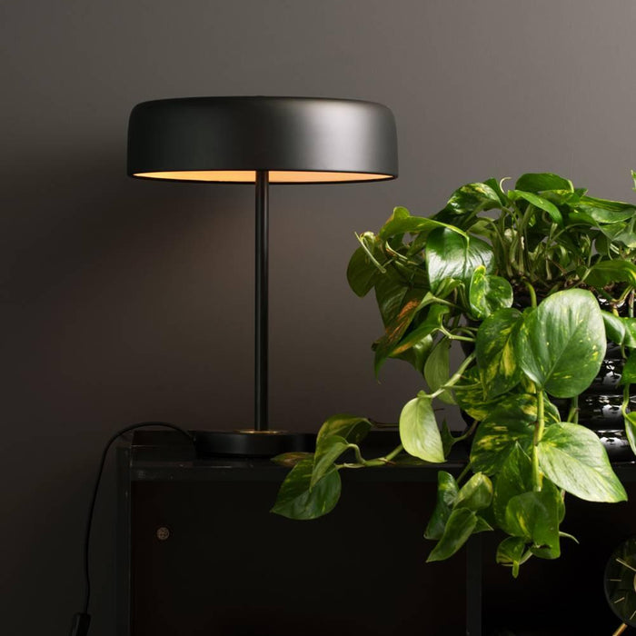 LEITMOTIV Tafellamp Gold Disc