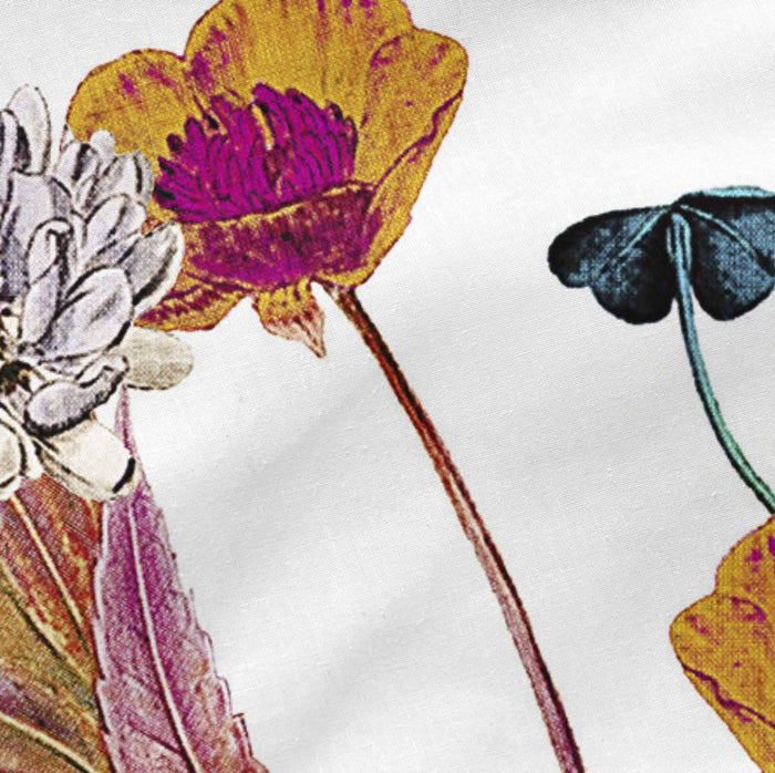 Happy Friday Kussensloop Birds Of Paradise