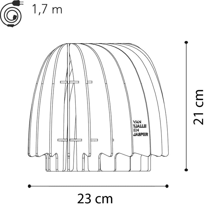 42e5420b-71af-4fb8-8e8b-b378ea36382d-afbeelding5.jpg (9063984)