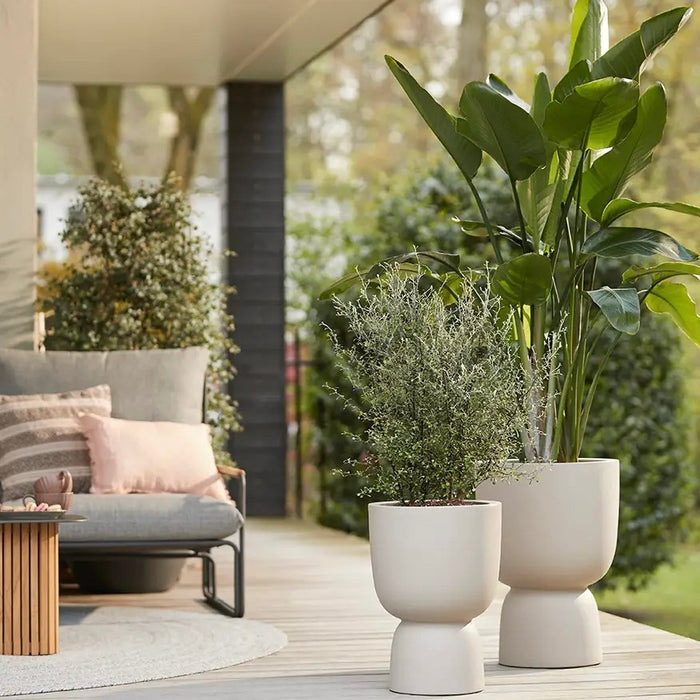 elho Pure Coupe Bloempot Ø 35 cm - Balanced Beige