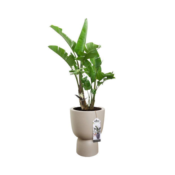 elho Pure Coupe Bloempot Ø 35 cm - Balanced Beige