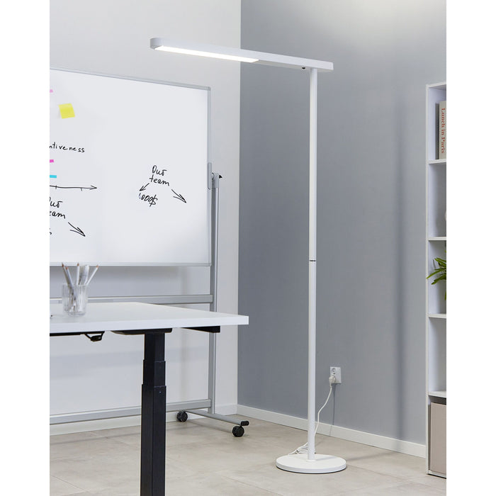 977677b2-a0a4-4f81-badc-37d03fe1defa-sfeerbeeld.jpg (9085899)