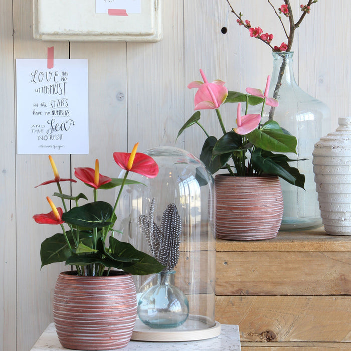 Mica Decorations Anthurium Kunstplant - H40 x Ø30 cm - Rood