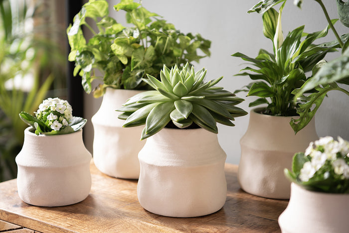 f87d48e6-444b-42a1-bfa7-fed680a48f8e-afbeelding12.jpg (9146189)