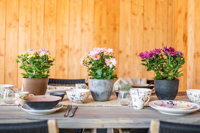 818b45ac-0aee-4f7a-8d67-22569ff1759f-afbeelding6.jpg (9156143)